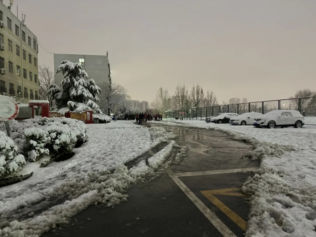 数字传媒学院自发组织志愿扫雪活动 第 4 张